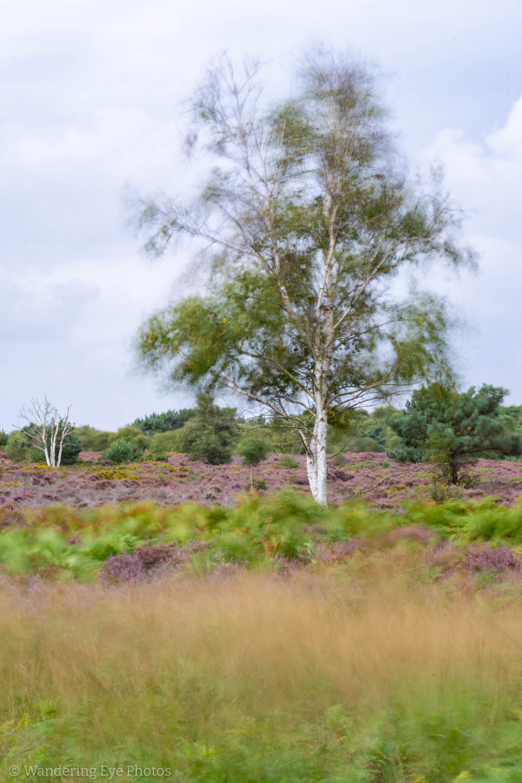 08.31 10.31.22   DSC02367